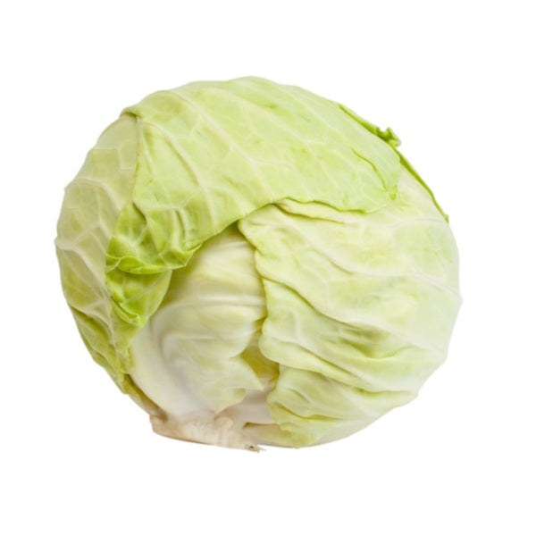 Cabbage