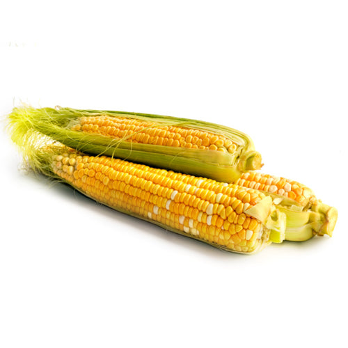 Corn vegetables