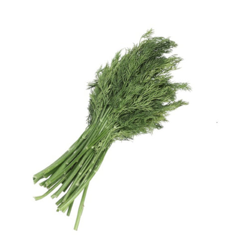 Dill Weeds Fresh