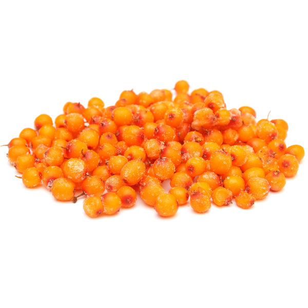 Frozen-sea-buckthorn