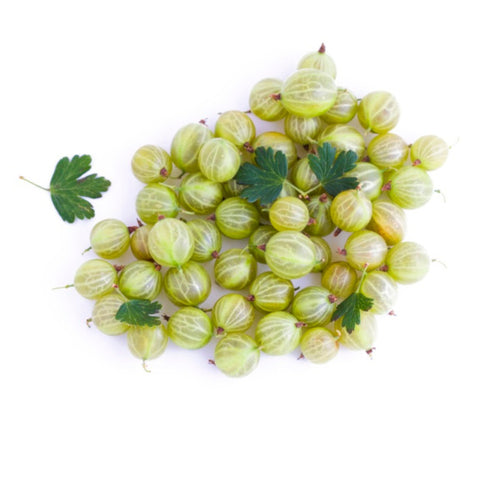 Gooseberry