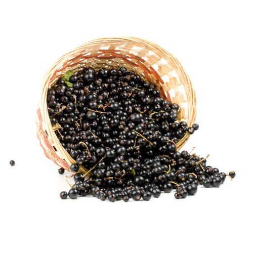 Organic blackcurrant
