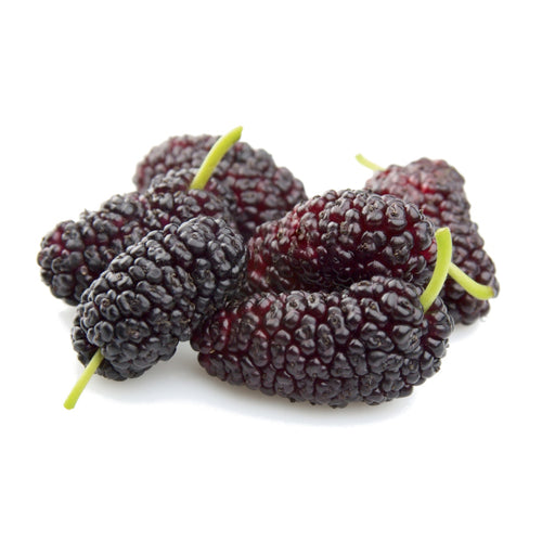 Organic mulberry