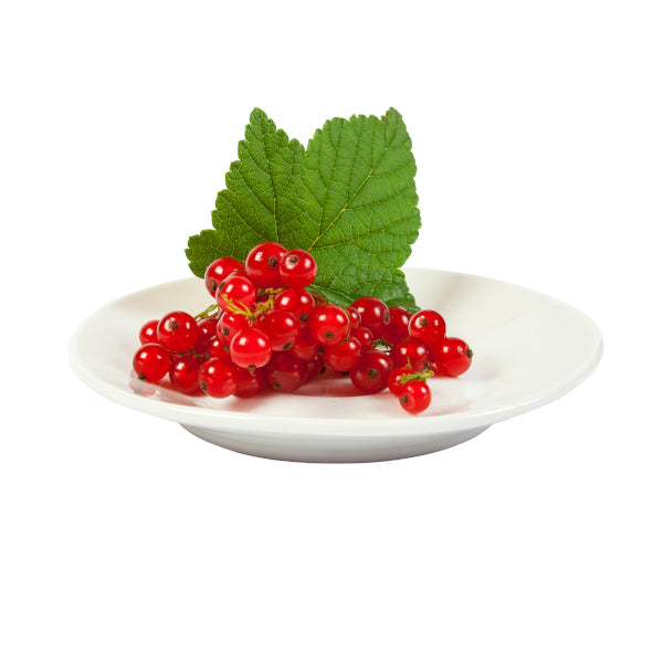 Redcurrant