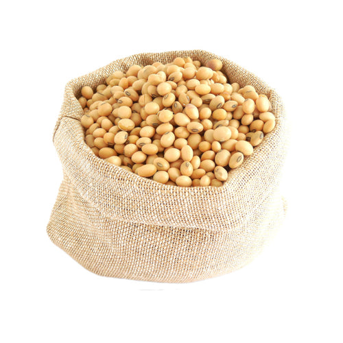 Organic soya beans