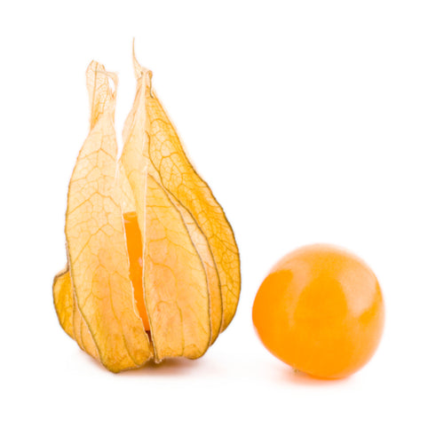 Physalis