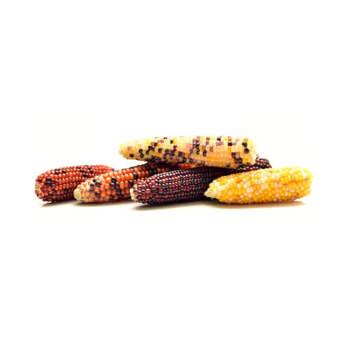 Corn vegetables